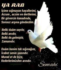 Semahi Keder Dualar Siir
