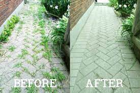 Along with regular watering, mowing and fertilization, weed control keeps your lawn healthy and looking good. Diy Weed Killer Recipe Plant Instructions