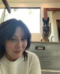 Shannen and Bowie. ❤️ I'm adding this because some people don't seem to  understand it… —Bowie is a 13 year old female German Shepherd. Bowie is  still alive and was with Shannen