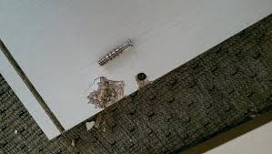 Schrankseite Abgebrochen Reparatur Handwerk Schrank