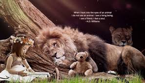 When I Look Into The Eyes Of An Animal I Do Not See An Animal When I Look Into The Eyes Of An Animal I Don T See An Animal I See A Living Being I See A Friend I Feel A Soul Bear Images Fairy Pictures