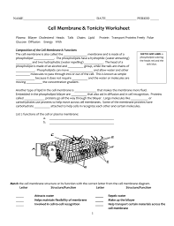 Cell Membrane And Tonicity Worksheet Is An Amount Of Pointers From Teachers Doctoral Philosophers And Pr In 2020 Cell Membrane Cell Membrane Structure Cell Transport