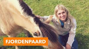 Maandag 29 oktober 2018 logo. Fjordenpaard Paardenpraattv Youtube