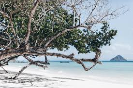 For guests the following amenities are available: Holiday Inn Phi Phi Island Mikuta Nu