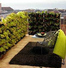 Bewundere deinen garten, wie er dank farbenfroher pflanzen immer schöner wird oder pflanz ganz einfach dein eigenes gemüse an. Gemuse Auf Dem Balkon Einen Hochbeet Garten Anlegen