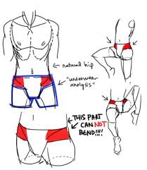 We are interested in those anatomy parts which affect the shapes and movements of the body. Male Lower Body Drawing Reference Novocom Top