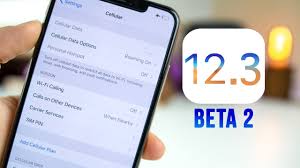Contact the carrier for more information. The Second Beta Of Ios 12 3 Is Now Available For Iphone And Ipad Techilife