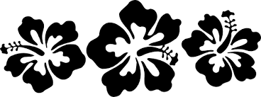 Hibiscus Clip Art Downloading Hibiscus Clip Art Clip Art Hibiscus Drawing