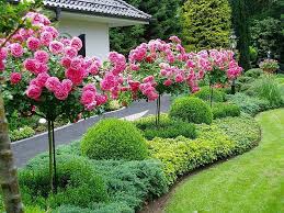 People interested in landscape taman also searched for. Bunga Dalam Gaya Bahasa Inggris Elemen Dasar Gaya Inggris Dalam Desain Lanskap Warna Warni Dan Pemilihan Tanaman