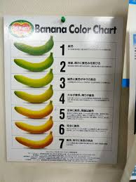 The Green Banana Changes To A Beautiful Yellow The Inside