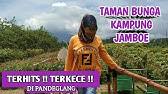 Terletak di bagian ujung pulau jawa dan lahir sebagai ibukota provinsi baru. Rvlog13 Masuk Labirin Taman Bunga Dm Tirta Persada Pandeglang Vlog Part 2 Youtube