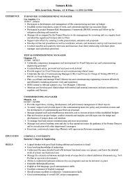 Apply to test commissioning engineer jobs now hiring on indeed.co.uk, the world's largest job site. Commissioning Manager Resume Samples Velvet Jobs