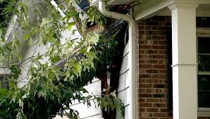 If it falls on a shed or other covered structure it will be covered. If A Tree Falls On Your House Will Your Homeowners Insurance Pay Cbs 17