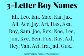 Find out how to name your business with this guide. 3 Letter Boy Names