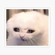 White Crying Cat Meme Sticker By Kamilesz Redbubble