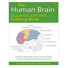 Check spelling or type a new query. The Human Brain Student S Self Test Coloring Book Medical Artist Portfolio