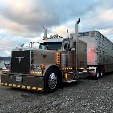 Peterbilt Cattle Horn Big Rig Trucks Big Trucks Trucks