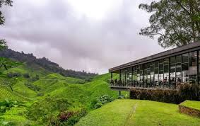 Itinerary trip di cameron highlands 3 hari 2 malam 3d2n tahun 2021 assalammualaikum. Tempat Menarik Di Cameron Highland 2021 Aktiviti Best