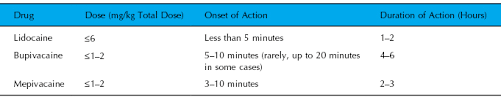 Sedation And Analgesia In The Standing Horse Veterian Key