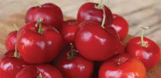 Maybe you would like to learn more about one of these? Acerola Cherry The Diggers Club