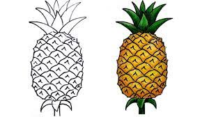 Another free still life for beginners step by step drawing video tutorial. How To Draw Pineapple Step By Step Very Easy Youtube