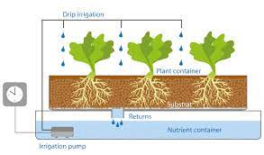 Hydroponik Various Hydroponics Systems
