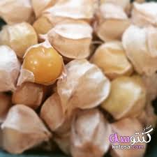 نبات الحرنكش صور نبات الحرنكش صور الحرنكش الحرنكش عمرك شفت شجرة kntosa com 12 19 155 fruit food vegetables