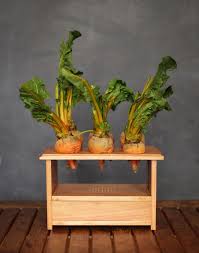 Beetbox A Musical Instrument Powered By Vegetables By Scott Garner Diy Musical Instruments How To Play Drums Musical Instruments