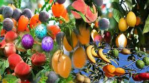 يعتبر الماء هو سر الحياة وبدون الماء لا توجد حياة في الكرة الأرضية وماء ياخذ حيز كبير جدا, والباقي يابس ولا يستطيع الانسان ولا الكائنات الحي العيش بدون الماء, قال تعالى (وجعلنا من الماء كل شئ حي ). Ù„Ø§ ØªØ³ØªØ·ÙŠØ¹ Ø§Ù„Ø¬Ø¨Ø§Ø± ØªØ·ÙˆØ± Ø§Ù„ Ø­Ù„Ù…Øª Ø§Ù†Ù‰ Ø¨ÙØ±Ù‚ ÙØ§ÙƒÙ‡Ø© Ø¹Ù„Ù‰ Ø±ÙˆØ­ Ø£Ù…Ù‰ Pietroizzo Com