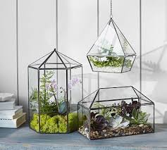 Modeled After A Classic Greenhouse Our Terrarium Adds An Architectural Element To A Display Filled Geometric Terrarium Hanging Terrarium Succulent Terrarium