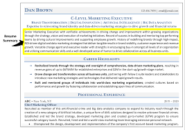 Resume Summary How To Write Examples