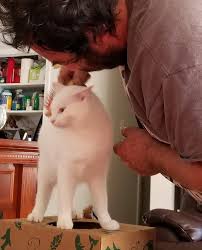 Cats are averse to change, which can make moving day extra stressful leading up to the move, keep your cat's routine as normal as possible. 20 People Who Were Adamant About No Pets But Were Inseparable From Said Pets