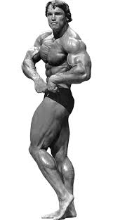 With an almost unpronounceable surname and a thick austrian accent, who would have ever believed that a brash, quick talking bodybuilder from a small. Arnold Schwarzenegger S Height W3ask