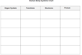 Chart Of 11 Organ Systems Bedowntowndaytona Com
