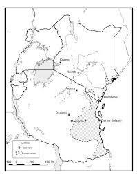 Image result for Premna tanganyikensis