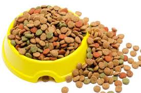 Pancreatitis in dogs is something dog guardians should be informed about, as symptoms of pancreatitis may not be as obvious as one would think, and leaving this condition untreated could be deadly. Pancreatitis In Dogs Causes Symptoms And Treatment