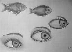 Metamorphosis / Transformation Of Object