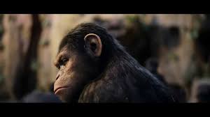 Scientist will rodman is determined to find a cure for alzheimer's, the disease which has slowly consumed his father. Capturing The Ape Revolt In Rise Of The Planet Of The Apes The World From Prx