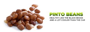 Black Beans Or Pinto Beans Pin On Moe S Made Fresh Daily Ingredients