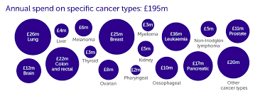 Everyone believes that ceos can do whatever they want, are all powerful, and are magically competent. How We Spend Your Money Cancer Research Uk
