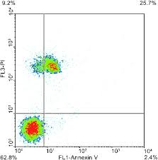 This chart type is used. Annexin V Pi Labeling Density Plot Shows Non Altered Spermatozoa Download Scientific Diagram