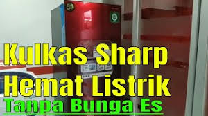 Kulkas panasonic 2 pintu tanpa bunga es low watt 223 liter 26 an ss silver abu garansi 5 tahun shopee indonesia. Memilih Kulkas 2 Pintu Tanpa Bunga Es Hemat Listrik Youtube