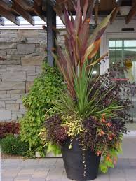 Good Example Of The Thriller Filler Spiller Method Of Container Planting Very Large Container Look At Container Gardening Patio Plants Garden Containers