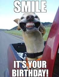 Birthday Quotes Funny Happy Birthday Meme For Him Birthday Is One Of The Most Awaited Moments For Everyone It Is Mostly The Funny Happy Birthday Meme Funny Happy Birthday Wishes Funny Happy Birthday Pictures