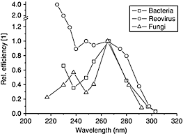 Uv radiation is only one type of em energy you may be familiar with. Uv Effects On Living Organisms Springerlink