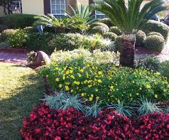 Pin By Reinaldo De On Florida Landscape Florida Plants Landscaping Florida Landscaping Landscape Design