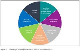Preventing The Next Pandemic A 2020 Unep Frontiers Series Report On Zoonotic Diseases With Reflections For South Africa