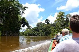Eighty percent of the country is still rain. Reise Tipps Surinam Reisen Exclusiv