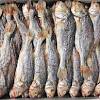來自蘋果日報有關「WHO Salted fish, Chinese-style」的新聞圖像