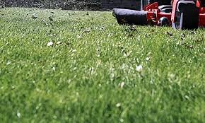 Weekly and biweekly lawn mowing services with easy online pricing and signup. Davies Lawn Services Oconomowoc Wisconsin Lawn Care Near Me Lawn Mowing Property Maintenance